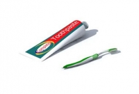 ৪৯ প্রতিবন্ধী অনাথ শিশুর দাঁত মাজার ব্রাশ একটিই!