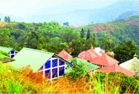 সোনায় মোড়া পাহাড়