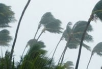 কালবৈশাখী ঝড়ের আঘাতে লণ্ডভণ্ড লালমনিরহাটের ঘরবাড়ি