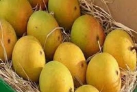 যেভাবে ১০ মিনিটেই দূর করা যায় ফরমালিন