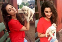 নতুন বন্ধুতে মজে আছেন পরিণীতি চোপড়া, জানেন কে সে?