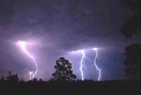 তালতলিতে বজ্রপাতে মারা গেলেন কৃষক, সঙ্গে দুটি গরুও