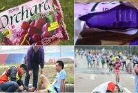 ফল ভেবে সাবান খেয়ে অসুস্থ ১২ হাজার প্রতিযোগী!