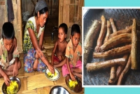 ঘরে চাল নেই, আলু খেয়ে দিন কাটাচ্ছেন তারা ঘরে চাল নেই, আলু খেয়ে দিন কাটাচ্ছেন তারা