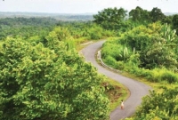 গাড়ি উল্টে নিহত ২: বিজিবির চেকপোস্টে আগুন, সংঘর্ষে আহত ১০