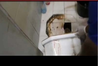 বাথরুমে ভয়ঙ্কর পাইথনের সঙ্গে ধ্বস্তাধ্বস্তি!