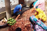 বগুড়ায় পেঁয়াজের কেজি এক টাকা