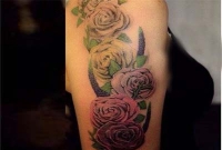 বিয়ের আগে মেয়েদের নতুন স্টেটমেন্ট!