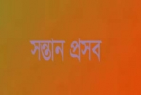টহলদারী পুলিশ ভ্যানেই সন্তান জন্ম দিলেন তরুণী