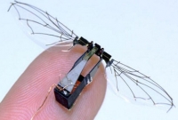 এবার বিপর্যয় মোকাবিলায় ব্যবহার হবে ‘রোবট মৌমাছি’!