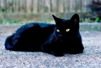 দুনিয়ার ভয়ানক যত কুসংস্কার, জানলে চমকে যাবেন!