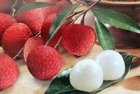 অবাক করা লিচুর ১০ টি গুণ রয়েছে, জানেন কী?