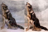 বলতে পারেন, এই কুকুরের ছবিতে কতজন মানুষ রয়েছে?