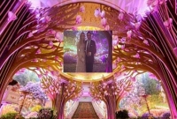 ২০ লাখ ডলারের বিয়ে, চমকে গেলেন?