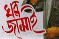 আজকাল ঘরজামাই কারা থাকে, বুদ্ধিমানরা নাকি বোকারা?