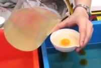 হাঁস-মুরগি নয়, মানুষ বানাচ্ছে ডিম!