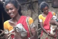 শেয়ালের সঙ্গে মানুষের প্রেম! হাসঁ-মুরগীর বন্ধুত্ব!