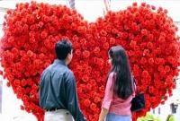 গোলাপ প্রেম বা ভালোবাসার প্রতীক নয়, জেনে নিন তাহলে কী?