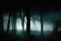 রাত হলেই এই রাস্তায় অতৃপ্ত আত্মার মহিলাদের দেখা যায়!