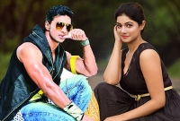 কলকাতার দেবের সাথে প্রেম করবেন ঢাকার সাবা