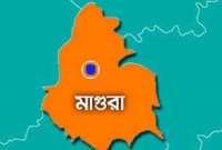 চুরি হওয়া গরু ফেরত পেতে যা যা করতে হলো