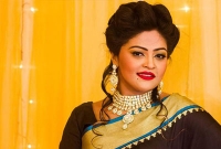 আত্মহত্যার পূর্বে কি ঘটেছিল মডেল শৈলীর সাথে?