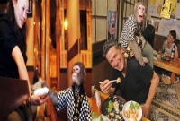 অবাক কাণ্ড, এই হোটেলে খাবার এগিয়ে দেয় বানর ওয়েটার!