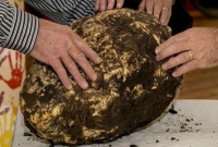 ঘাস কাটতে গিয়ে পাওয়া গেল দু’হাজার বছরের পুরনো মাখন!