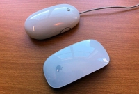 এই বস্তুটির নাম ‘মাউস’ কেন! জানেন আপনি?