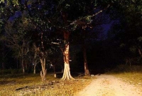 গায়ের রক্ত হিম হওয়া অবস্থা, মহিলা দেখলেই জাপটে ধরে পিছলা ভূত!