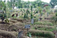 ছেলেদের দ্বন্দ্বে কবরেও শান্তিতে নেই বাবা!