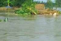 তিস্তার ভাঙ্গনে বিলীন ৬ গ্রাম