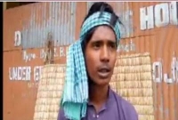  পেট ভরাতে লম্বা ঘাসই এখন ভরসা!