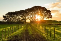 অভিশপ্ত সুখ অভিশপ্ত সুখ