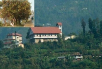 চলুন ঘুরে আসি কমলালেবুর দেশে