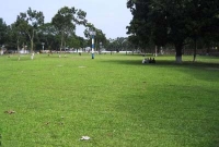 ঘরের ভেতরেই ছিলেন ইনি, হঠাৎ জানালা দিয়ে গুলি