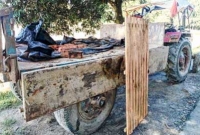 সীমান্তে গরু পাচারের অভিনব কৌশল