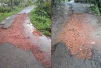 দক্ষিন শ্যামপুর মেরামতের অভাবে অনুপযোগী রাস্তা, ভোগান্তিতে গ্রামবাসি