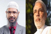 এবার জাকির নায়েককে নিয়ে মুখ খুললেন মোদি