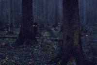 যে কবরস্থানে অশরীরী প্রেতাত্মারা ঘুরে বেড়ায়!