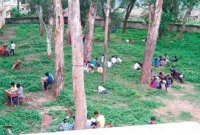 কলেজের বাগানে বসেই পরীক্ষা, বই খুলেও লিখছে!