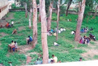 কলেজের বাগানে বসেই পরীক্ষা! সমানতালে চলেছে নকল 