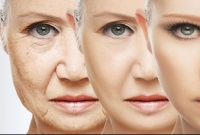  ওষুধ নয়, চেহারায় বয়সের ছাপ পড়বে না এই ফল খেলে!