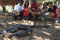 অ্যামাজনের ভয়ঙ্কর জঙ্গলে দেবের নতুন কেলো