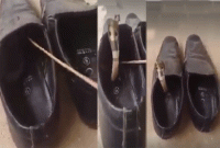 আপনি কী জুতা দেখে পড়েন, নইলে কিন্তু হতে পারে মহা বিপদ!