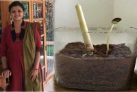 অভিনব কাগজের কলম থেকেই জন্মাবে চারাগাছ!