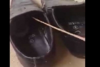 আপনি কী জুতো দেখে পড়েন? নইলে কিন্তু বিপদ অপেক্ষা করছে!