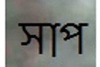 প্যান্টের মধ্যে সাপ! তারপর যা ঘটলো...