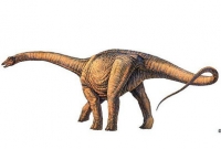 ৮ কোটি বছর আগের মাংসাশী ডাইনোসর