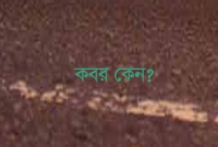 ঘরের ভেতর রহস্যজনক তিনটি কবর!